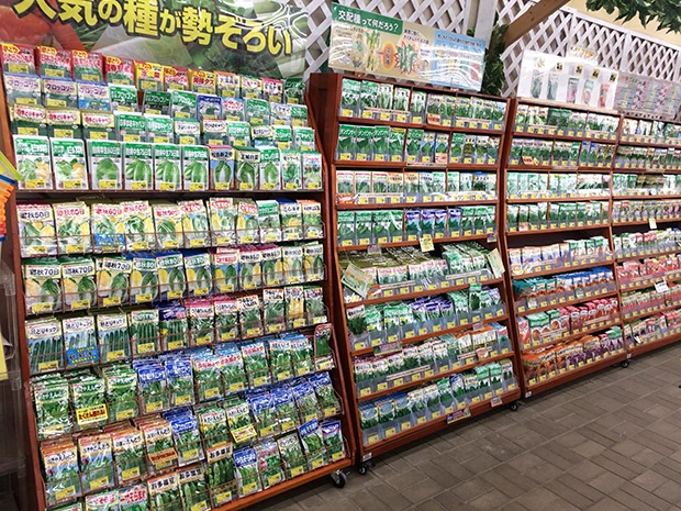 常時、数百種類のタネを販売。球根の販売数と合わせると1000種類以上のタネを販売する店舗も
