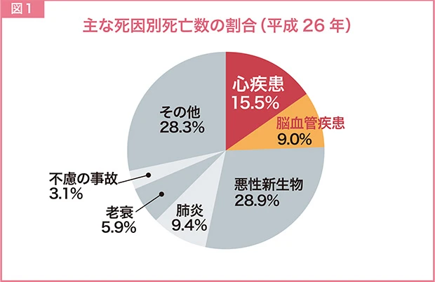 ここでは脳血栓を例に取るが、夏は汗を多量にかくので塩分・水分が失われ、血液がドロドロになってしまうため心臓や脳関係の疾患リスクが高まる