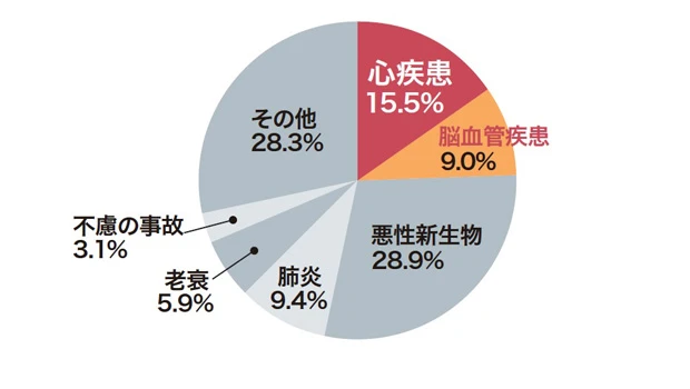 生活習慣の乱れやストレスから、動脈硬化が引き起こされ、心臓や脳へ影響していく。日本人の死因の4分の1は血管が関係していると言える。出典:2014年「厚生労働省 人口動態統計」 「カルピス」由来健康情報室にて一部改変