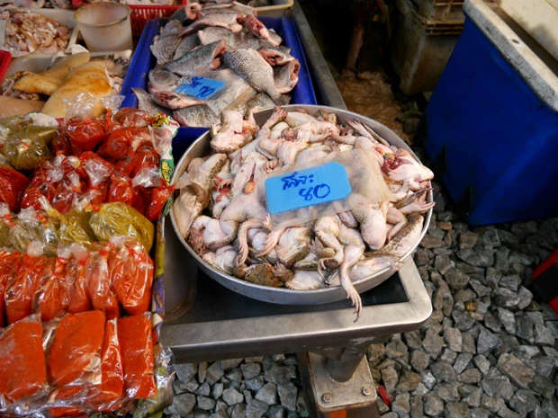 食べたい?と聞かれたカエル。遠慮ではなくこれは本当に結構です