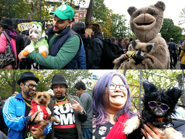 飼い主も一緒に仮装。ステージママとスター犬も