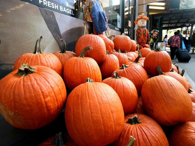 NYの街中はハロウィンムード。巨大カボチャがいっぱい売られてました!(マリーシャを探せ)