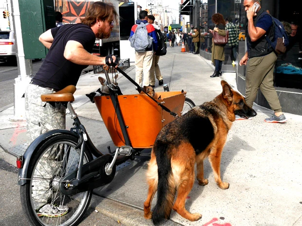 忙しいニューヨーカから需要の高い、散歩代行サービス