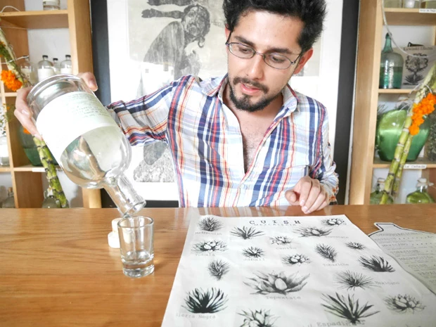 メスカル屋の店員。ペーパーに描かれた植物はアガベの色々な種類。見た目はアロエやサボテンのような感じ？