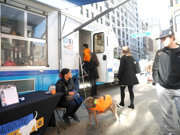 街中では様々なドッグケアの活動をよく見かける