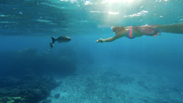 お魚さんとご対面