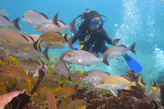  ダイバーマリーシャ、海底美術館へいざ探検！