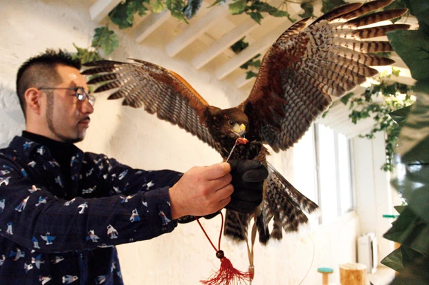 （上から）カラフトフクロウ、メンフクロウ、ベンガルワシミミズク、ハリスホーク。動物専門学校出身の店長が調教したフクロウたちはおとなしいので安心して触れ合える。お店は原宿ど真ん中。ホームページからも予約可能