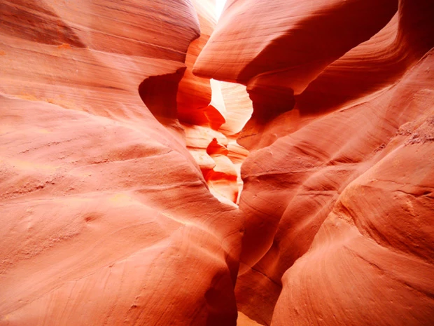 人の横顔に見えるでしょ?