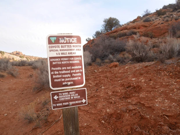 最初だけ小さな茶色い標識があったけど、こりゃ見落とすわ! それに道なき道は矢印があっても正確な方向がわからない