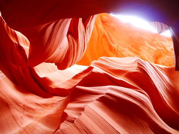 盛ってるアンテロープ。「インディアン嘘つかない」けど「写真盛る」