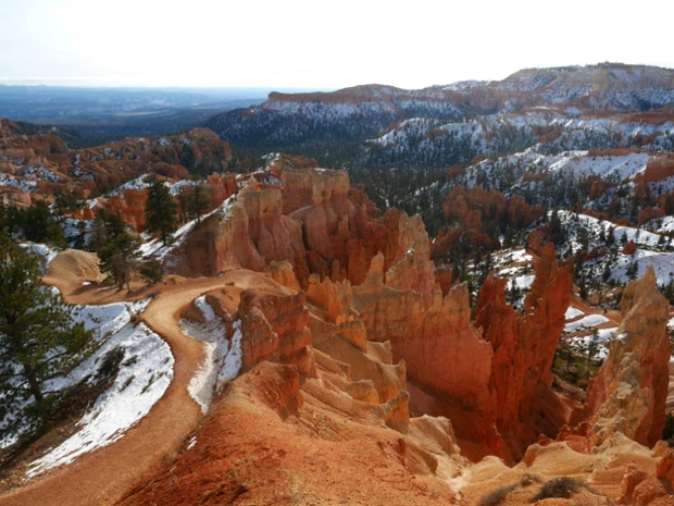 乾いている道は歩きやすいので安心