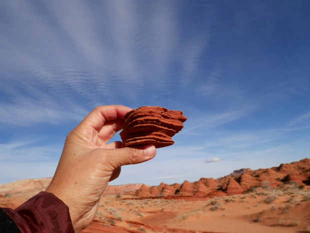 ウェーブのかけら? 記念に持って帰りたかったけど、バチがあたりそうなので元に戻す