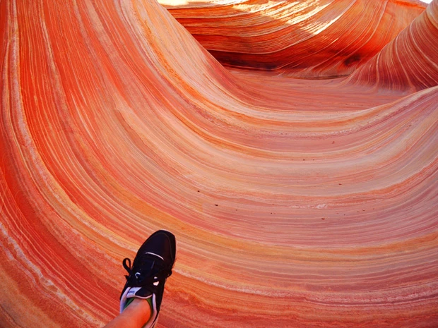 これがウェーブの砂漠化石だ!先にちょい見せ~