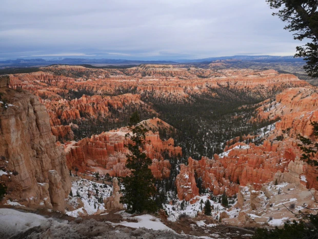 ブライスポイント(標高2539m)。まるで飛び出す3D画像を見ているような感覚で目が回りそう
