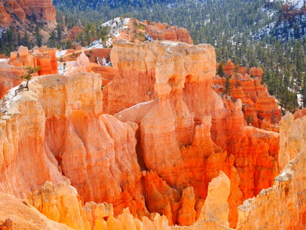 赤や黄色やオレンジ、時には紫やピンクやブルーにも見える不思議な岩肌は「ピンククリフ」とも呼ばれている