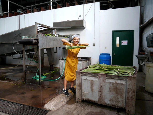  工場見学を楽しむマリーシャ