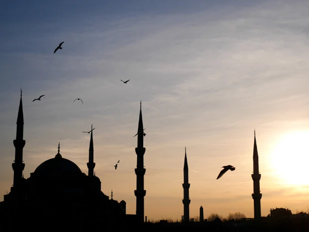 イスタンブールのサンセット。ブルーモスクとカモメ