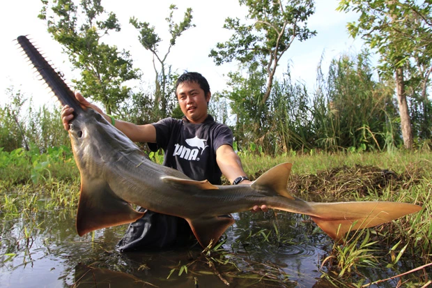 世界で釣り上げた巨大魚は５０種以上 怪魚ハンターが狙う 次の獲物は ライフ 文化 ニュース 週プレnews