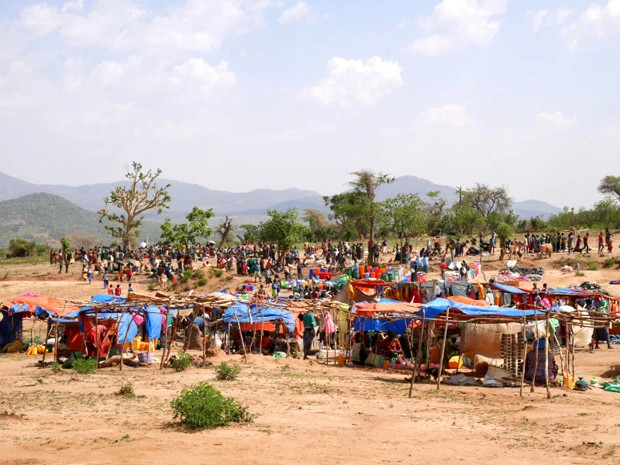 カコマーケット