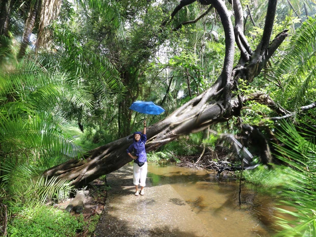 いつも応援ありがとう! まだ旅は続くよ! ジコモ!