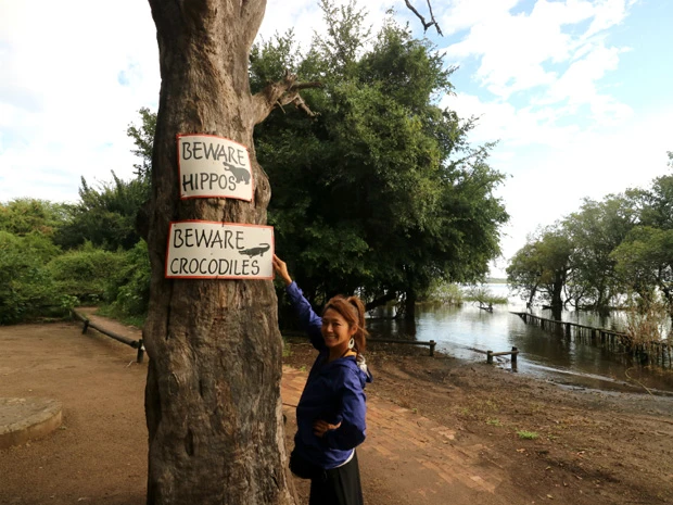 野生動物にご用心!