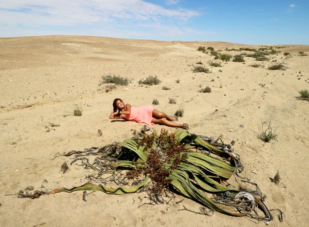 隣に寝そべってみる。この後、この植物に食われました...なんて、そんなワケありません