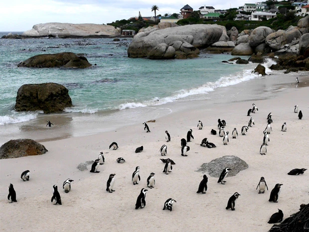 ボルダーズビーチ