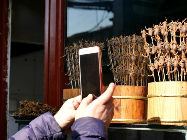 うごめくサソリ串
