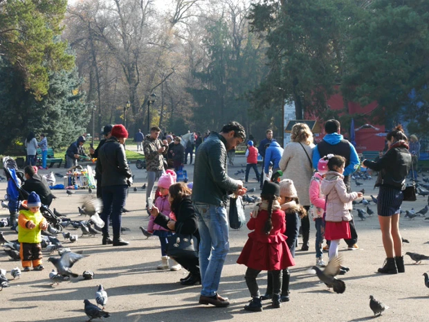 治安の良さがわかる公園の光景