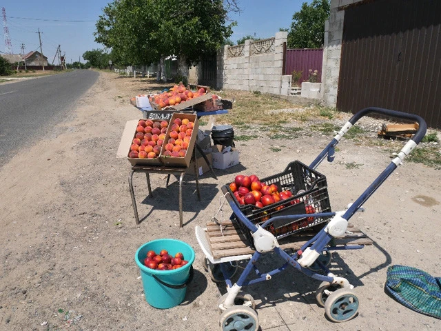桃は撮っていいと言われた