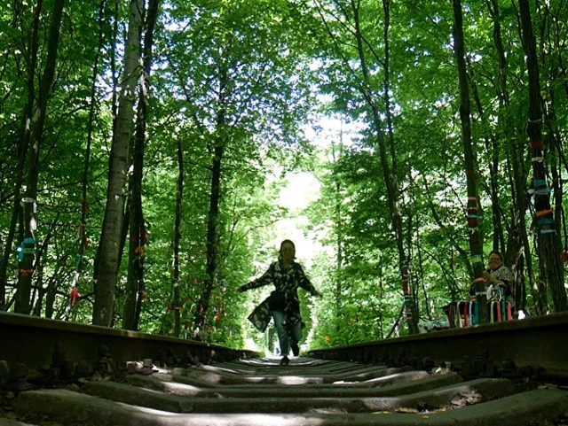 あまりの蚊の多さにおののき、撮ったら逃げるようにダッシュ！