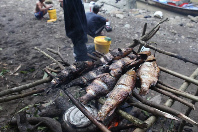 晩飯は川で捕った魚。ガイド役の地元民たちは魚師でもあり簡単に捕らえる。慣れた手つきで魚を焼いてくれた。小骨が多いものの、身はおいしかった