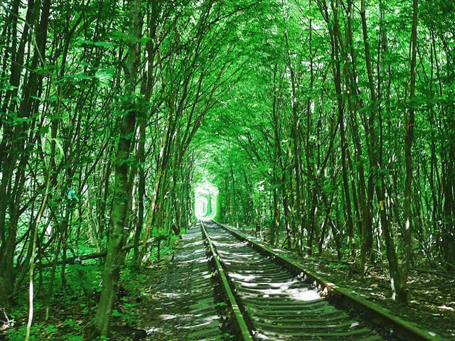 フォトジェニックな景色。「愛のトンネル」のネット上の写真は大体加工されている。これも加工したもの