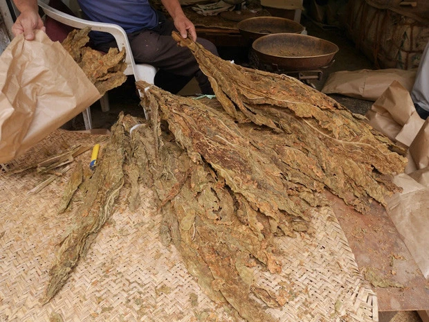 タバコではないようであるが何かわからない。結局、手元だけ撮影許可をもらう