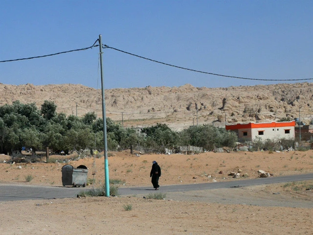車窓からヨルダンの景色