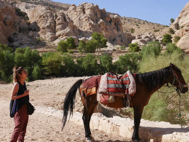 馬発見。乗らないで歩くよ。私は歩きたいのさ