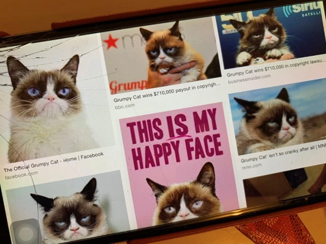 ブサかわいい?グランピーキャット