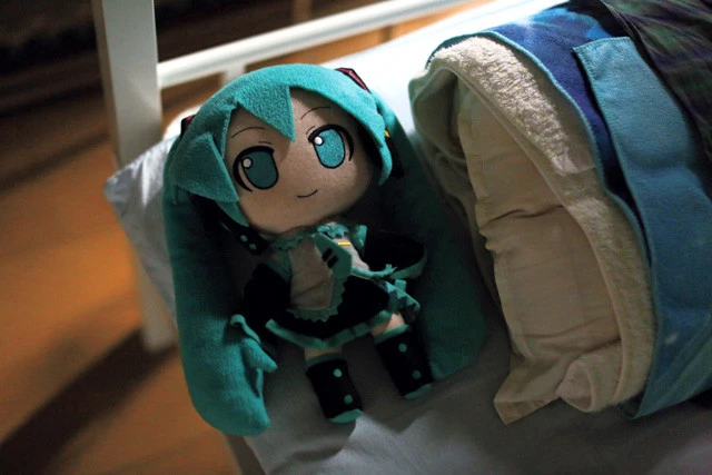 部屋中にある初音ミクコレクション。ベッド横に置かれたぬいぐるみは９年間、大事にしているもので、１１月の挙式に同行するのも彼女だ