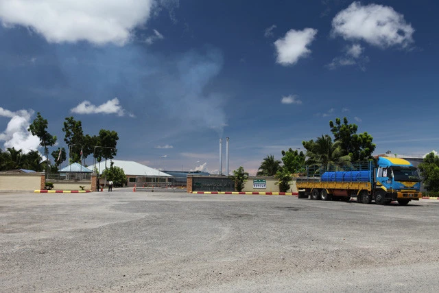 プランテーションの近くにあるパーム油の搾油工場