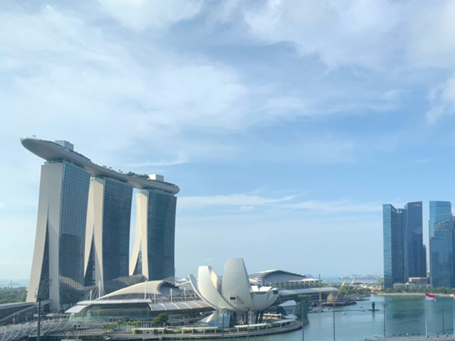 画像 写真 旅人マリーシャの世界一周紀行 第２２２回 人気の海外移住先シンガポールの４大ストリートを歩く 週プレnews