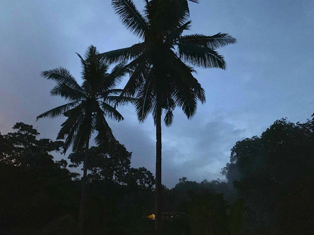 秘境バジャワの夜空。ヤシの木があると絵になるのはなんでだろう