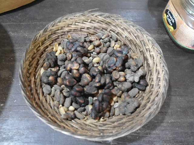 コピ・ルアックの豆。うんちっぽいと言われれば、そう？