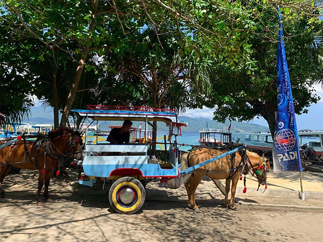 ギリ・アイルのチドモ（馬車）。初乗り５万ルピア（約４００円）