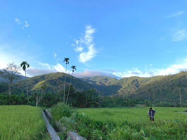 水やり作業をする女性