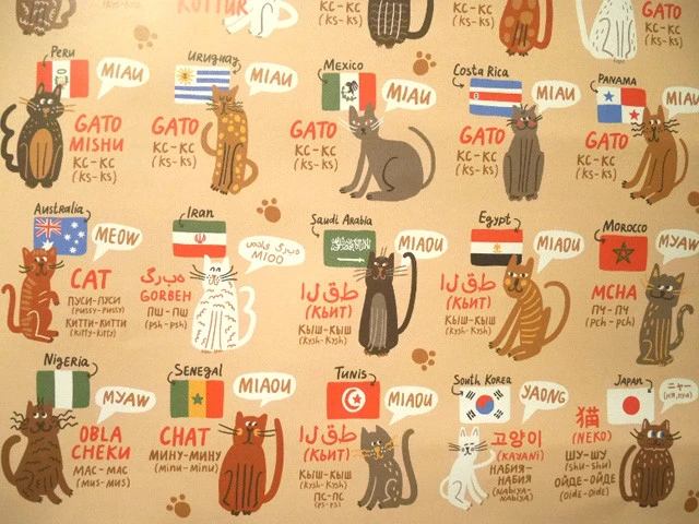 世界の猫の鳴き声。日本の「ニャー」は珍しいかも？