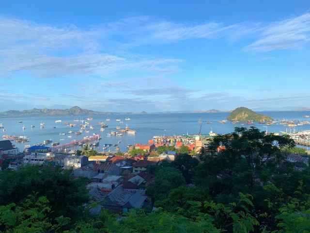 ラブアンバジョの高台から見える港。ジブリ映画に出てくるような、まるで絵のような風景である。