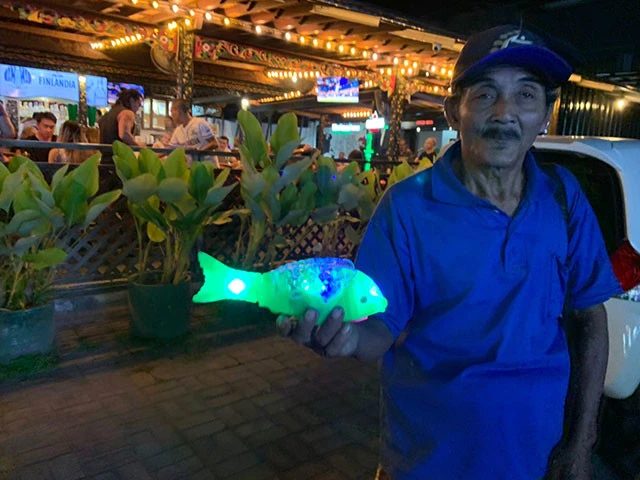 酔っぱらった私たちはこの魚のおもちゃを購入（４匹も）