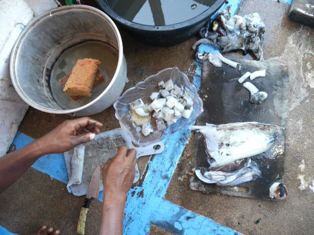 イカを船の上でさばいて調理！ 肉厚でかなりチューイー。アゴが鍛えられる硬さでした