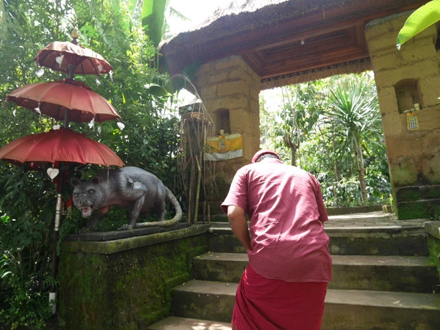 コーヒー農園入口